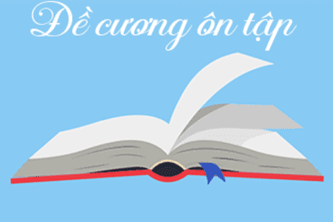 Đề cương cuối kỳ II năm học 2024-2025 các môn kiểm tra chung K12